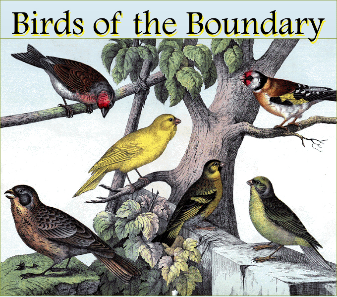 Birds of the Boundary, B.C.