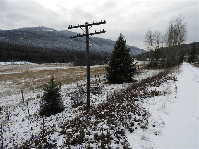 Telegraph Pole on old CPR railbed, now Trans Canada Trail