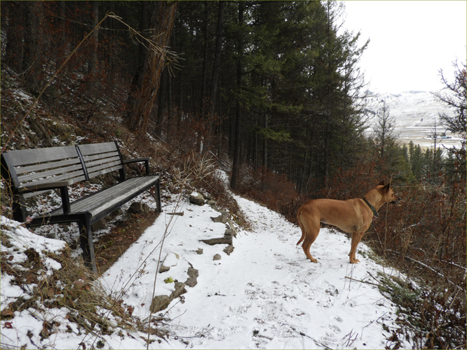 Enjoying the view on the way up