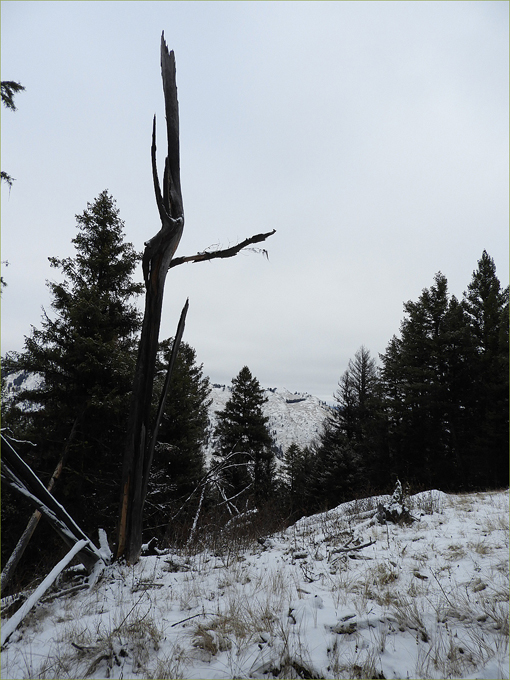 Walking up along the Border Line