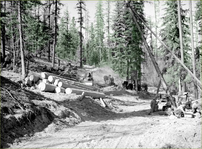 Forestry & Logging, B.C.