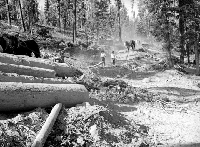 Forestry & Logging, B.C.