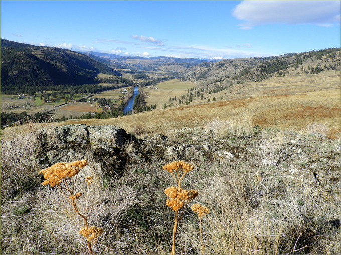 Hike to Ingram Mountain