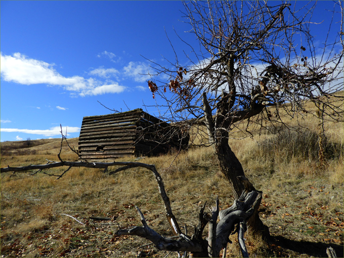 Hike to Ingram Mountain