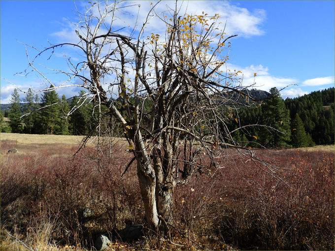 Hike to Ingram Mountain