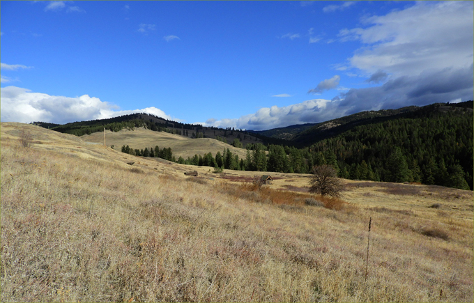 Hike to Ingram Mountain