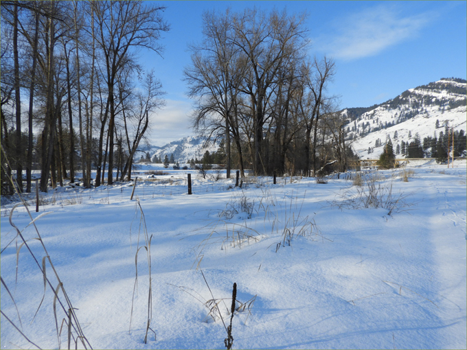 Snowshoe Trip, Kettle River