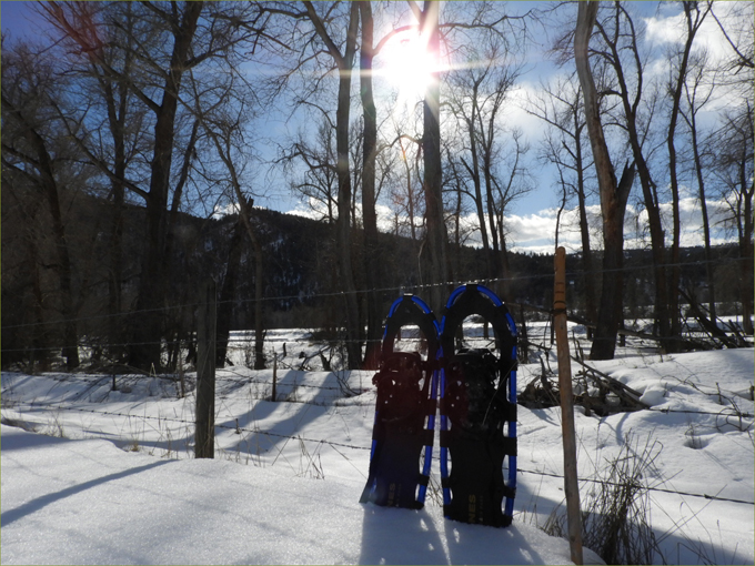 Snowshoe Trip, Kettle River