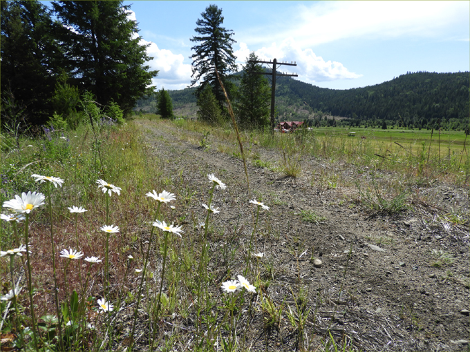 Trans Canada Trail, Eholt to Greenwood BC