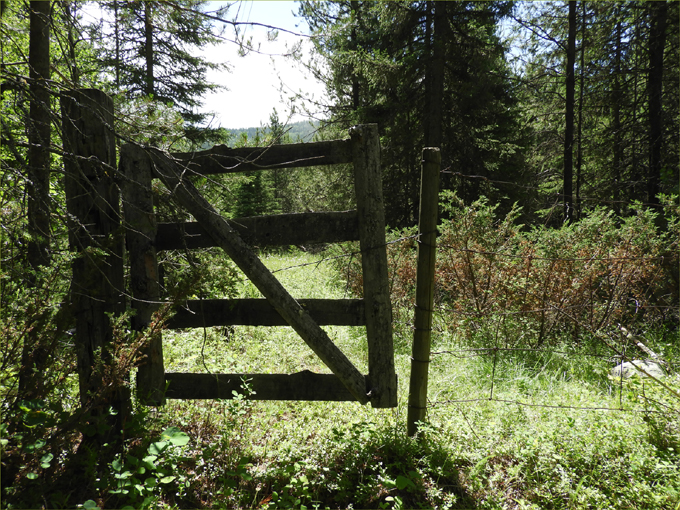 Trans Canada Trail, Eholt to Greenwood BC