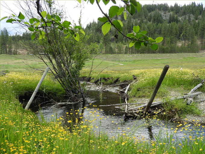 Trans Canada Trail, Eholt to Greenwood BC