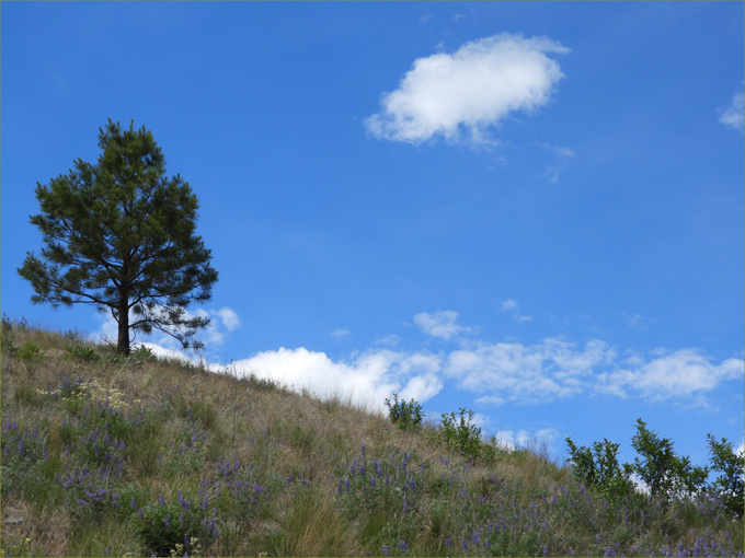 Big sky in the Boundary