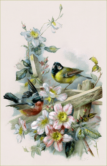 Victorian Birds and Flowers