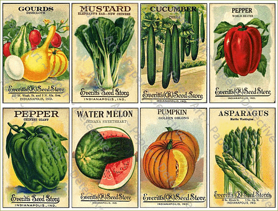 Vintage Seed Packs