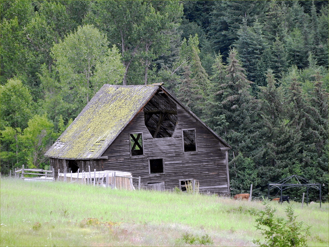 Old Barn on McCarren Creek Road