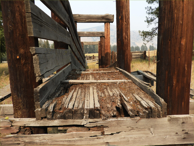 Old Loading Chute on Myers Creek Road, Midway