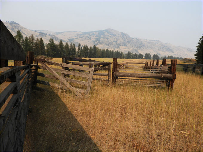 Old Loading Chute on Myers Creek Road, Midway 