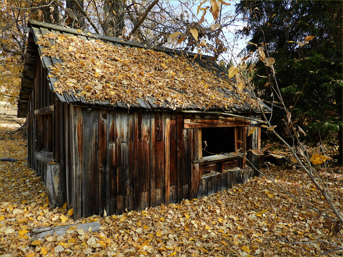 Old Rancher's Cabin on McCarren Creek Road, Greenwood