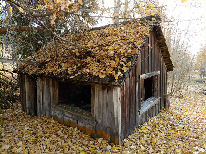 Old Rancher's Cabin on McCarren Creek Road, Greenwood