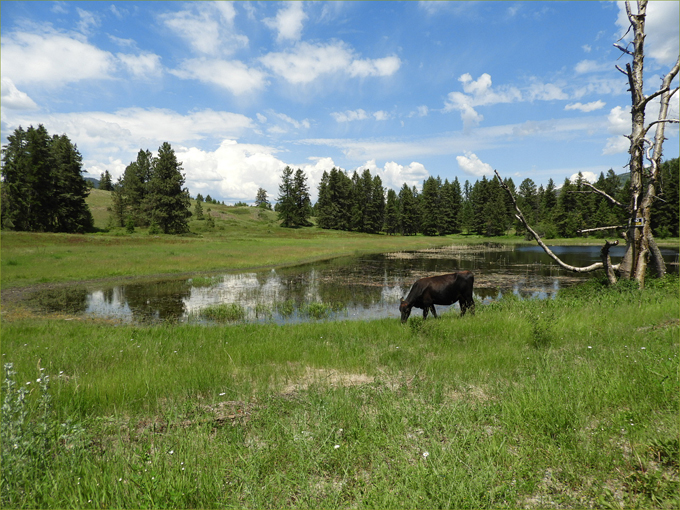 Boundary Region Landscapes