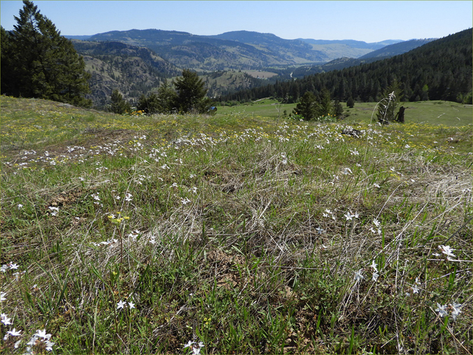 Boundary Region Landscapes