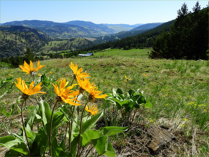 Boundary Region Landscapes