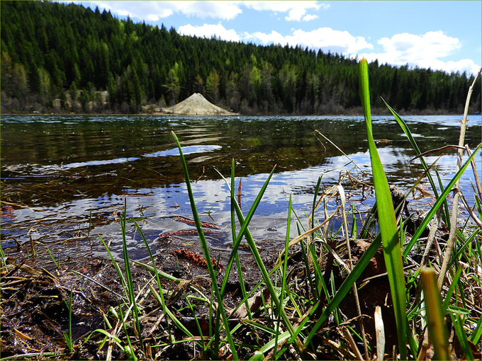 Boundary Region Landscapes