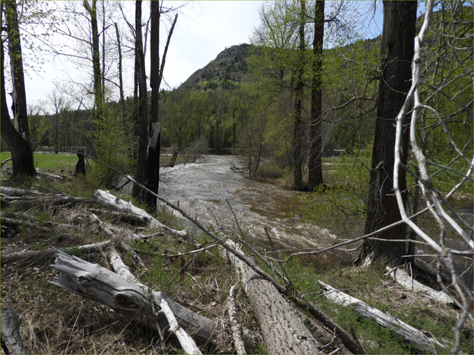 Boundary Creek outside of Anaconda 