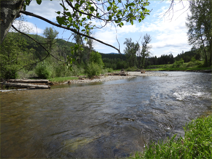 Boundary Creek outside of Anaconda 