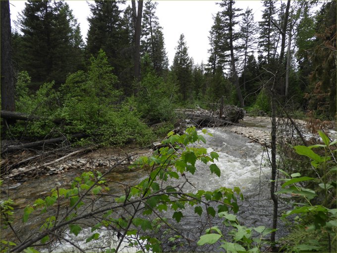 Boundary Creek at Twin Bridges