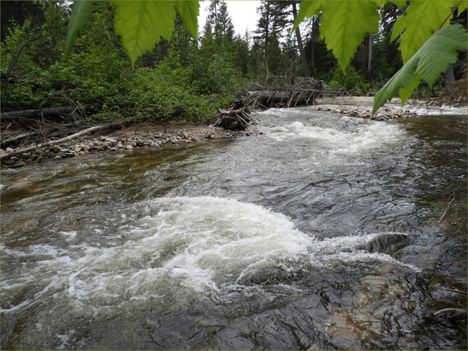 Boundary Creek at Twin Bridges