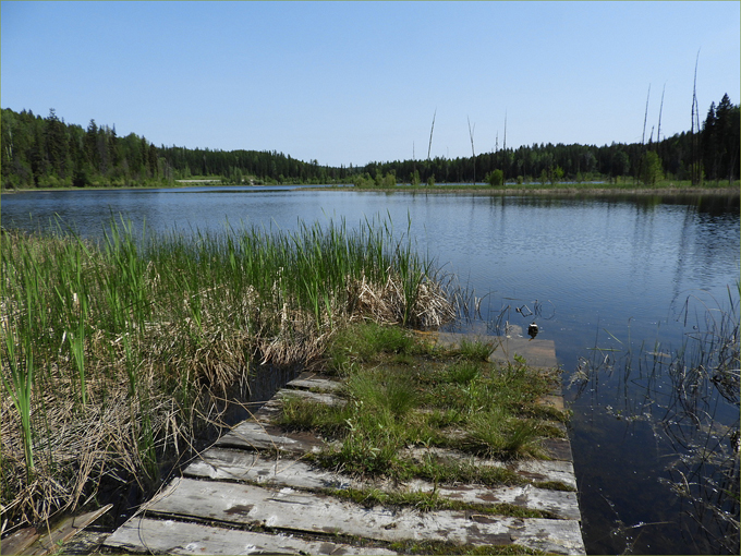 Wilgress Lake