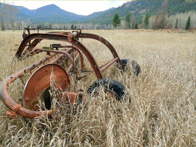 Old farm equipment along Trans Canada Trail, west of Midway