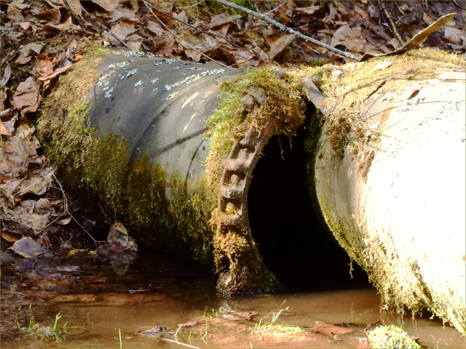 Old waterline, above Elkhorn 