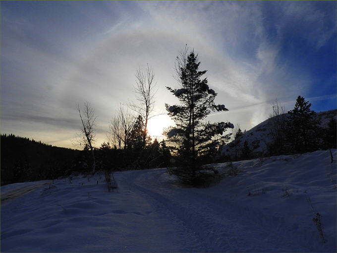 Sun Halo, Anaconda