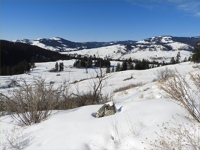 McCarren Creek Road