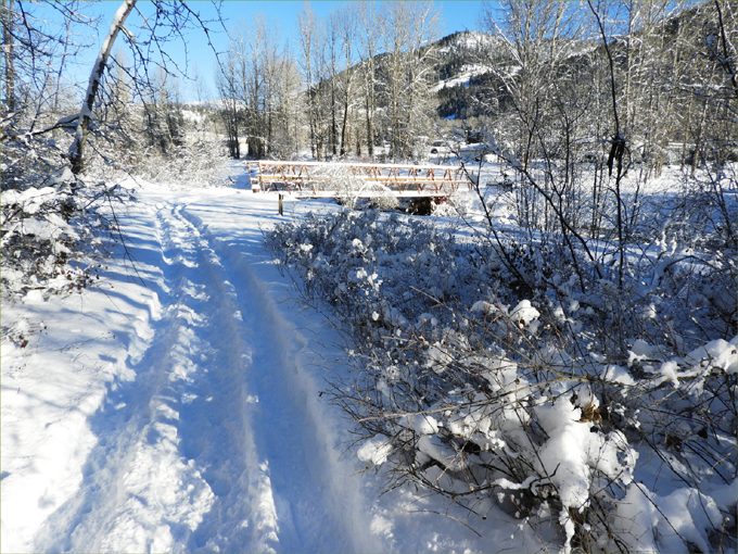 Orange Bridge, Greenwood